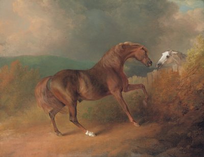 Eversti Thorntonin Jupiter, Eclipse out of a Mare by Tatar, aidan vieressä, Harmaa tamman kanssa, Thornville Royalissa, 1792 tekijältä Sawrey Gilpin