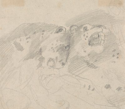 Kaksi leopardia tekijältä Sawrey Gilpin