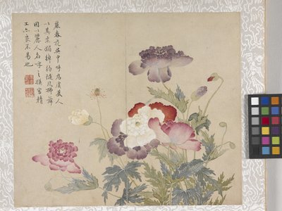 8-lehtinen kukka-albumi, 1700-luvun puoliväli (muste ja väri paperille). tekijältä School Chinese