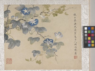 8-lehtinen kukka-albumi, 1700-luvun puoliväli (muste ja väri paperille). tekijältä School Chinese