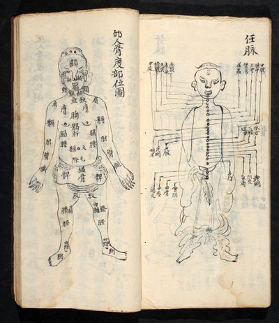 Akupunktiopisteet pitkin kehon keskilinjaa, Jing Guan Qi Zhi, "Akupunktiopisteiden ja -kanavien alku ja loppu", pub. Etelä-Kiina, 1700-luvun alku (muste paperille) tekijältä School Chinese