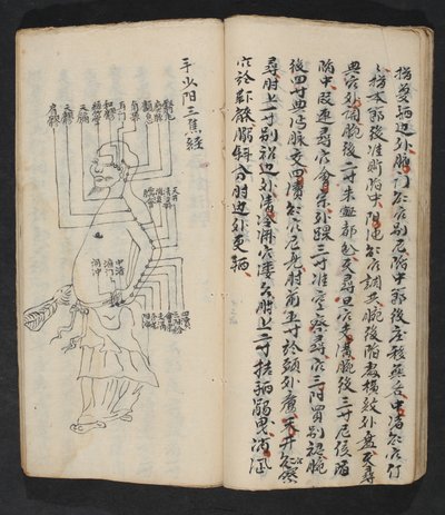 Akupunktiopisteet käsivarressa, kaulassa ja pään pohjassa, Jing Guan Qi Zhi, "Akupunktiopisteiden ja -kanavien alku ja loppu", pub. Etelä-Kiina, 1700-luvun alku (muste paperille) tekijältä School Chinese
