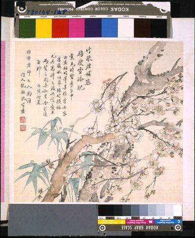 Album Of Flowers And Birds, päivämäärä tuntematon (tussi ja väri silkille). tekijältä School Chinese