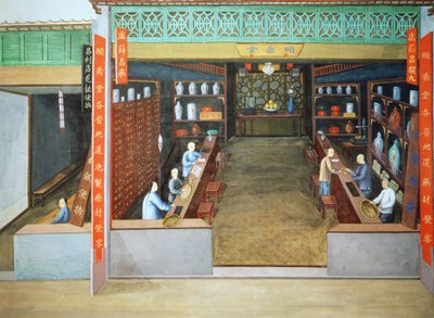 Kiinalainen lääketiede, noin 1830 (guassi paperille). tekijältä School Chinese