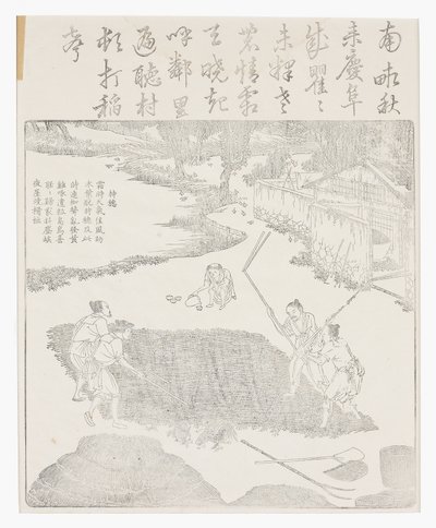 Riisin nylkeminen tekijältä School Chinese