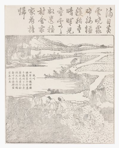 Riisin sadonkorjuu tekijältä School Chinese