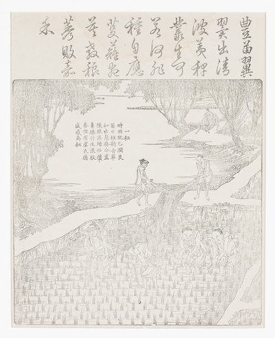 Riisin kastelu tekijältä School Chinese