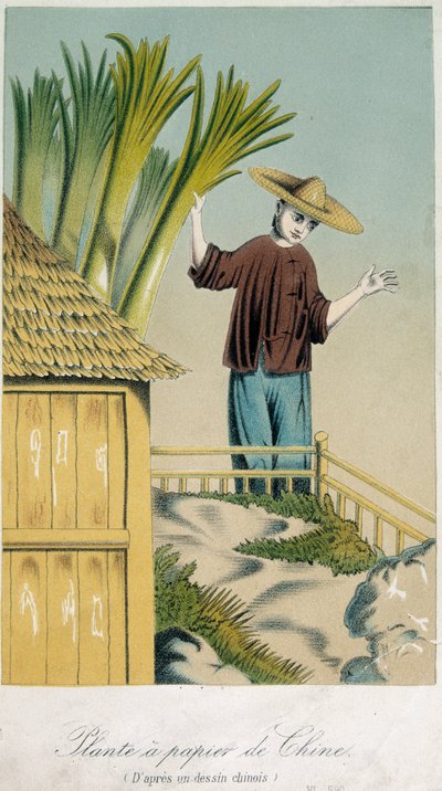 Istuta papier de Chine (väri litho) tekijältä School Chinese