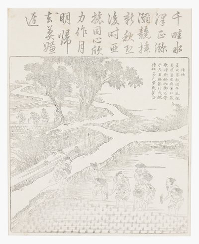 Riisin istuttaminen tekijältä School Chinese