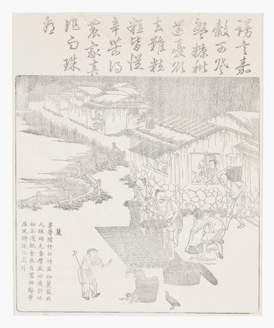 Riisin seulominen tekijältä School Chinese