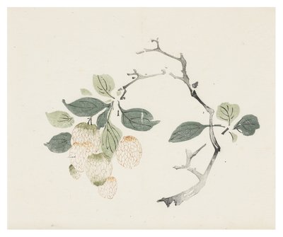 Kymmenen Bamboo-sarja tekijältä School Chinese