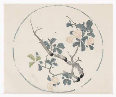 Kymmenen Bamboo-sarja tekijältä School Chinese