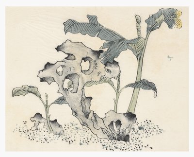 Ten Bamboo -sarja tekijältä School Chinese