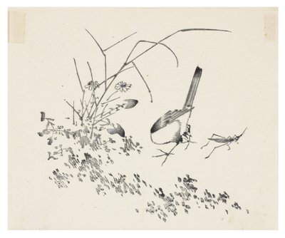 Ten Bamboo -sarja tekijältä School Chinese