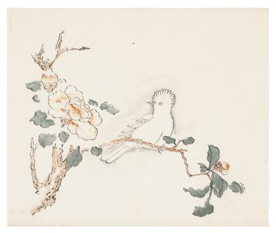 Ten Bamboo -sarja tekijältä School Chinese