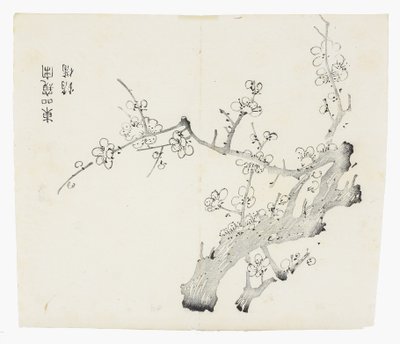 Ten Bamboo -sarja tekijältä School Chinese