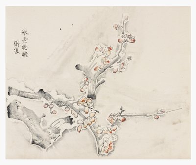 Kymmenen Bamboo-sarja tekijältä School Chinese