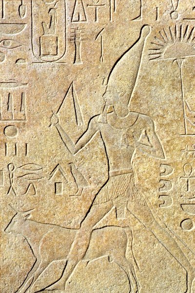 Muinainen Egypti, seinäkaiverrukset, Karnak/Luxor, Hatshepsut juoksuttamassa härkää, Heb-sed festivaali tekijältä School Egyptian