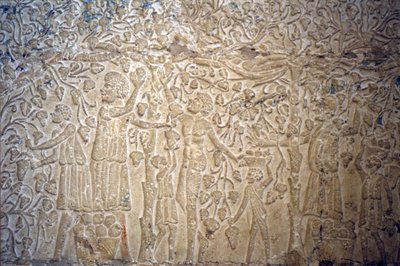 Muinainen Egypti, Seinäkaiverrukset/maalaukset, , Petosiriksen hauta, Tuna el Gebel, 300 eKr., Viinirypäleiden poiminta viinin valmistusta varten (kuva) tekijältä School Egyptian