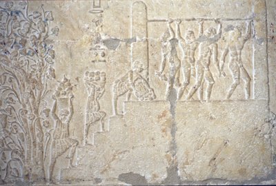Muinainen Egypti, Seinien kaiverrus/maalaus, Petosiriksen hauta, Tuna el Gebel, 300 eKr., Viininkorjuu, Viinin valmistus, Viinipuristin (kuva) tekijältä School Egyptian