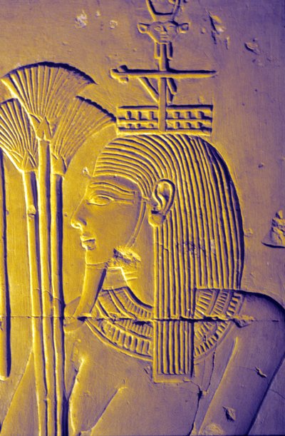 Muinainen Egypti, Seinämaalaus/kaiverrus, Niilin jumala tuo lootuksenkukintoja, Seti I:n temppeli, Abydos tekijältä School Egyptian