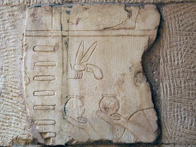 Yksityiskohta kohokuviosta, Luxor (kivi) tekijältä School Egyptian