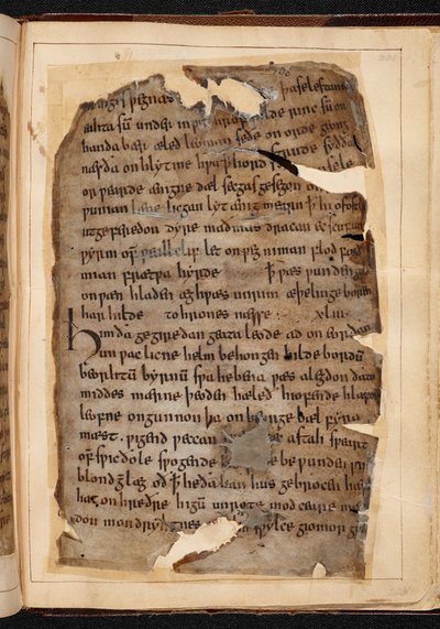 Beowulf-sivu folioista, joita joskus kutsutaan nimellä "Nowell Codex" tekijältä School English
