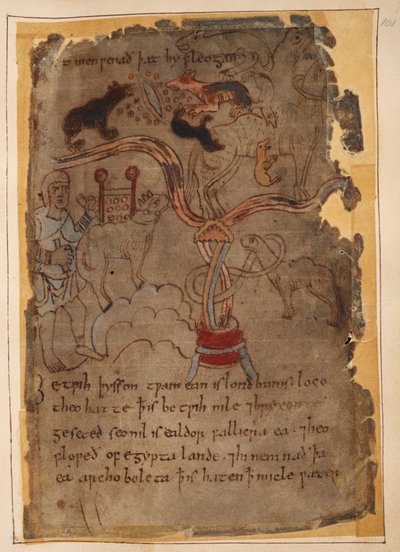 Anglosaksiset piirrokset eläimistä, kuvitus julkaisusta "Description of the Orient" (vellum) tekijältä School English