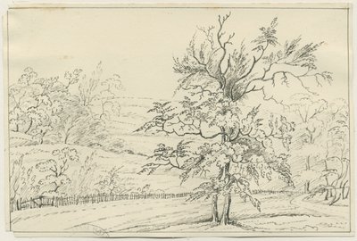 Cannock Chase: kynä- ja lyijykynäpiirros, nd [?1800-luku] (piirustus) tekijältä School English