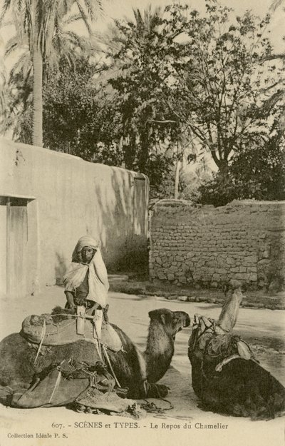Le Repos du Chamelier, c.1890-1914 (b/w photo) tekijältä School French