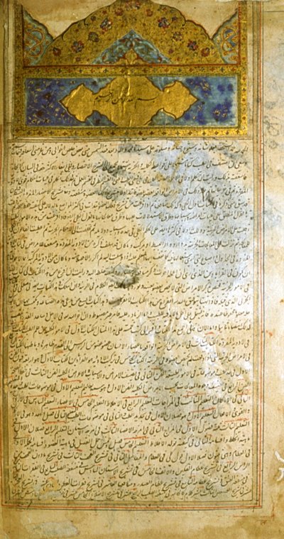 Sivu lääketieteen kaanonista (al-Qānūn fī aṭ-Ṭibb), kirjoittanut Avicenna tekijältä School Iranian