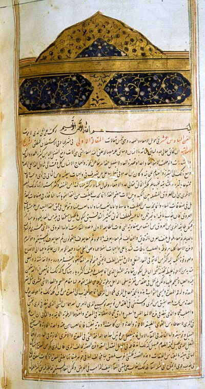 Sivu lääketieteen kaanonista (al-Qānūn fī aṭ-Ṭibb), kirjoittanut Avicenna tekijältä School Iranian
