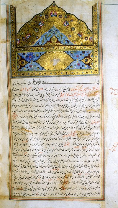 Sivu lääketieteen kaanonista (al-Qānūn fī aṭ-Ṭibb), kirjoittanut Avicenna tekijältä School Iranian