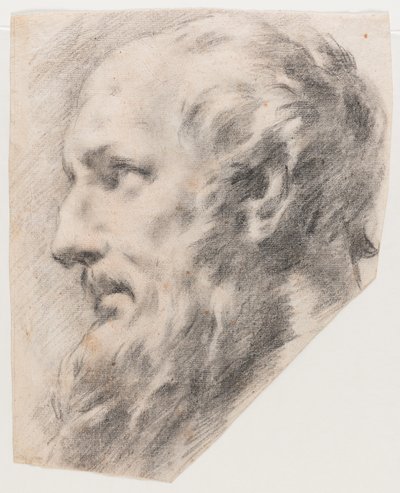 Profiilin pää (Hiili paperille) tekijältä School Italian