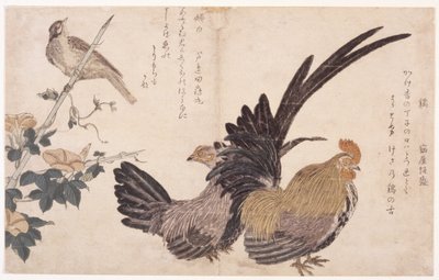 Kukko, kana ja lintu tekijältä School Japanese