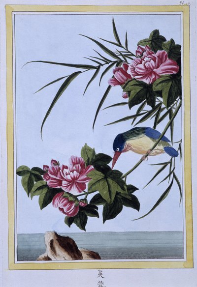 Kingfisher - japanilainen printti tekijältä Japanese School