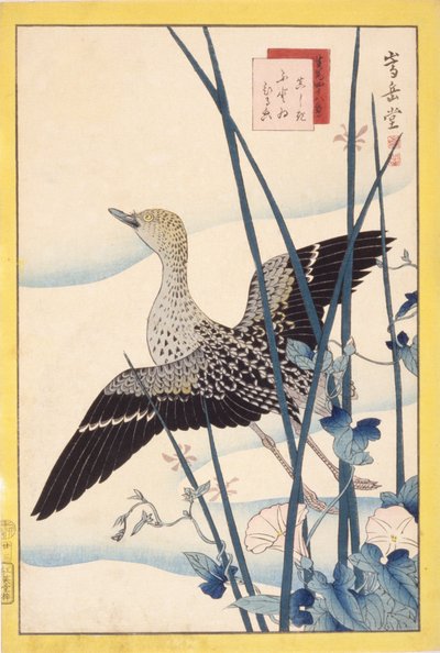 Sorsa tekijältä School Japanese