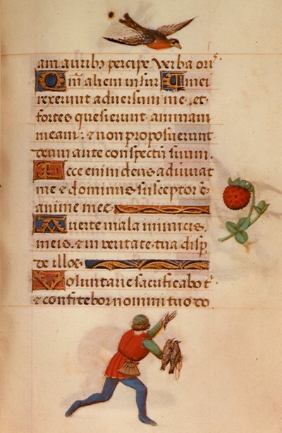 F.235 Mies haukkojen kanssa, elokuvasta "Hours of Joanna of Castile" tekijältä School Netherlandish