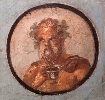 Medaljonkimuotokuvia, Pompeji tekijältä School Roman