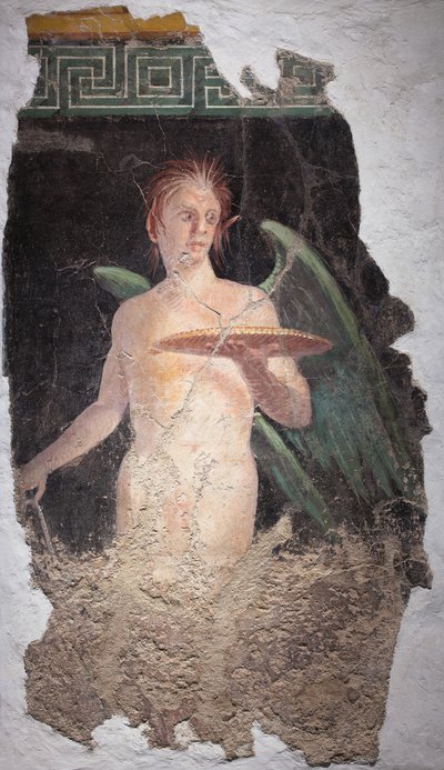  tekijältä School Roman