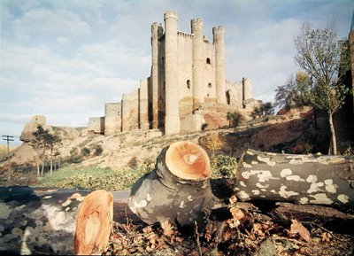 Castillo de Coyanza, Valencian kreivien 1300-1400-luvulla rakentama (kuva) tekijältä School Spanish