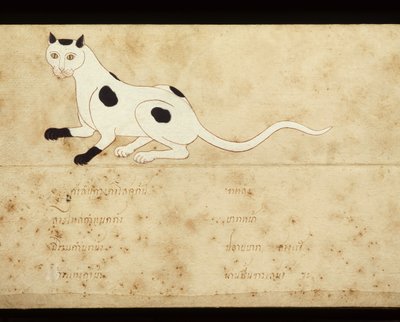 Siamilaisia kissoja käsittelevän käsikirjoituksen lehti, 1900-luvun alku (vesiväri paperille). tekijältä School Thai