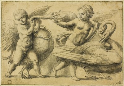 Putti leikkii joutsenen kanssa tekijältä School of Raphael
