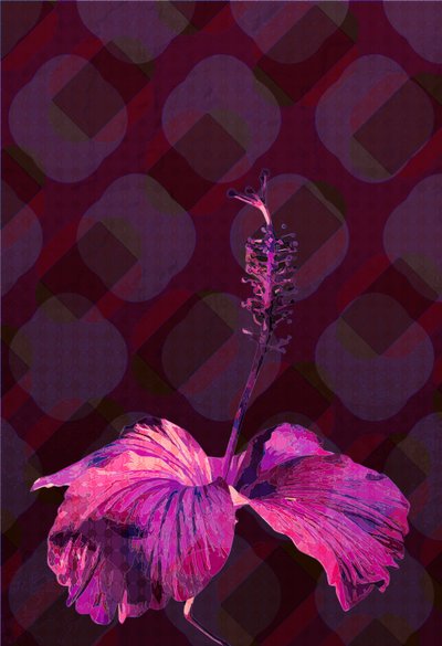 Hibiscus 3, 2019 tekijältä Scott J. Davis