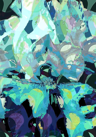 Iris (digitaalinen) tekijältä Scott J. Davis