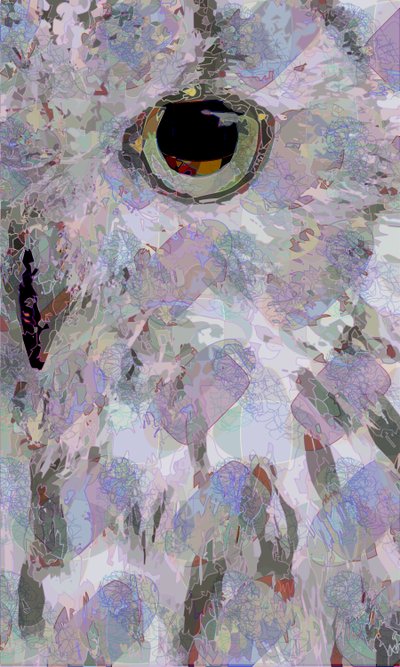 Pöllö3 (digitaalinen) tekijältä Scott J. Davis