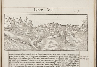 Cosmographia, Fol 1137, 1544 tekijältä Sebastian Munster