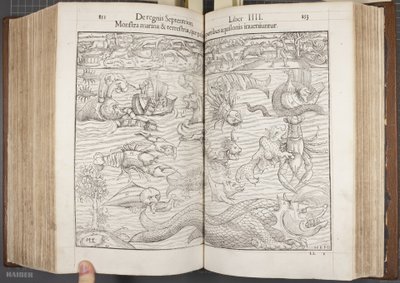 Cosmographia, Fol 852-853, 1544 tekijältä Sebastian Munster