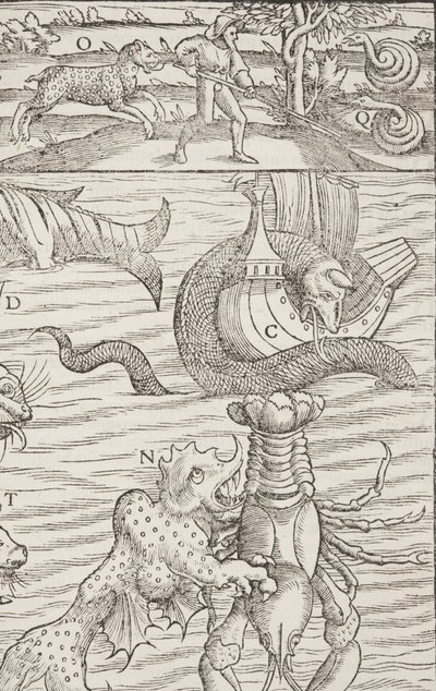 Cosmographia, Fol 853, 1544 tekijältä Sebastian Munster