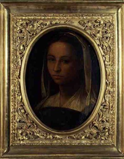 Tytön muotokuva (öljy kankaalle) tekijältä Sebastiano del (c.1485 1547) Piombo